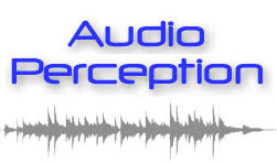 Audio Perception Case Study