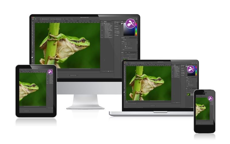 Fernzugriffssoftware-Geräte