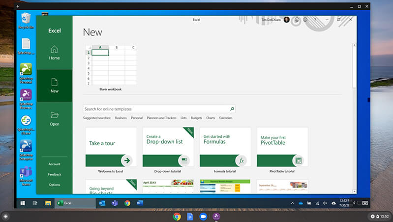Screenshot of Excel on a Chromebook